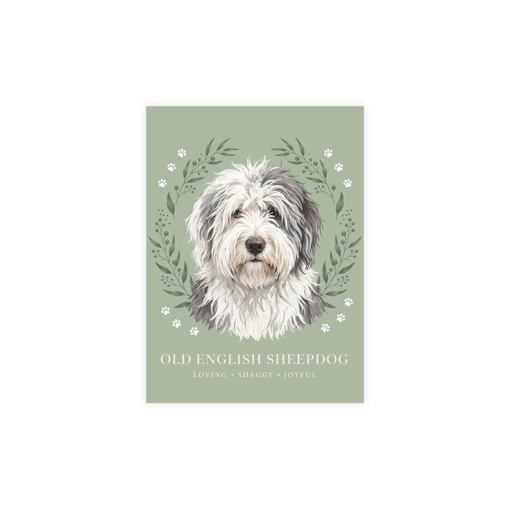 Old English Sheepdog Postcard Bundles | DeMichele Homewares