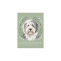 Old English Sheepdog Postcard Bundles | DeMichele Homewares