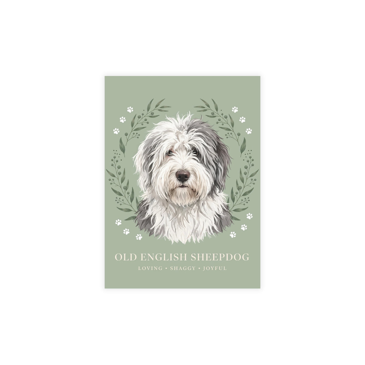 Old English Sheepdog Postcard Bundles | DeMichele Homewares
