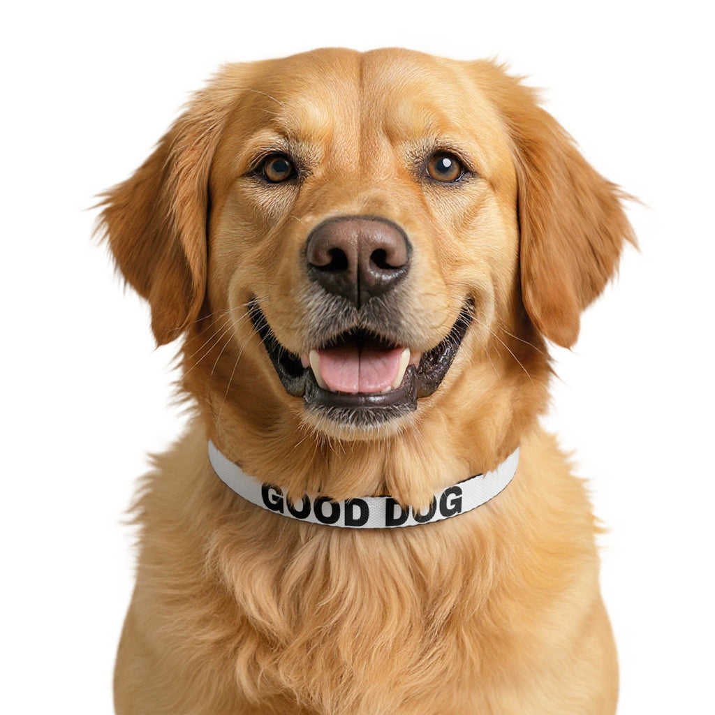 Good Dog Clip-On Pet Collar