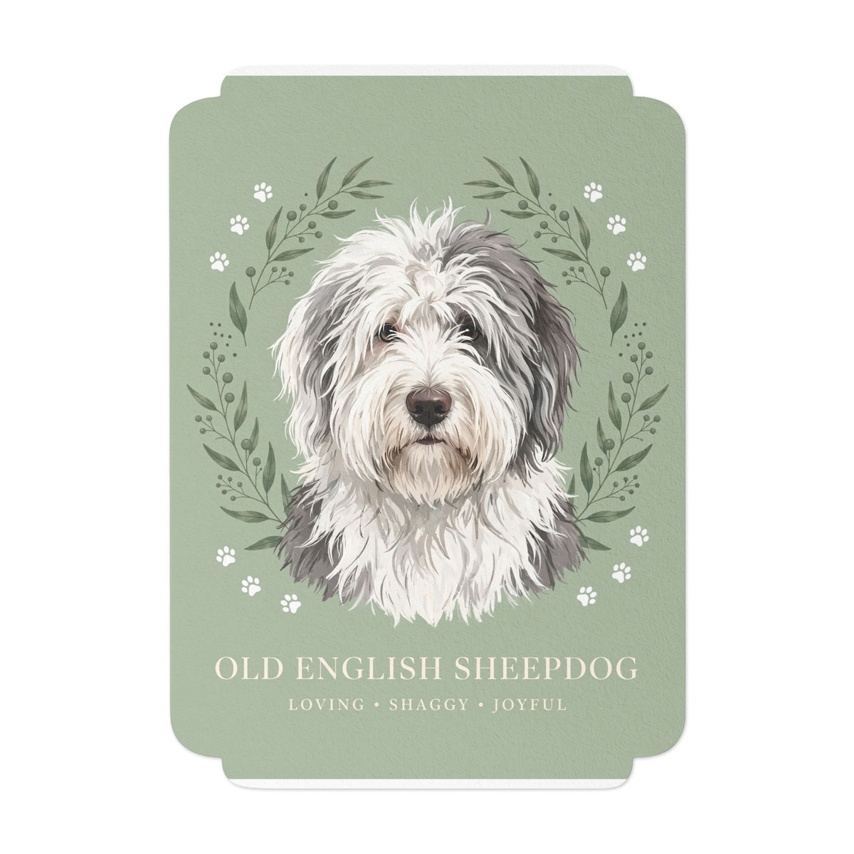 Old English Sheepdog Flat Greeting Card | DeMichele Homewares