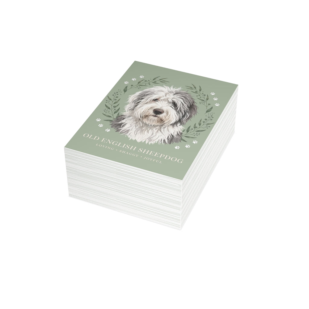 Old English Sheepdog Postcard Bundles | DeMichele Homewares