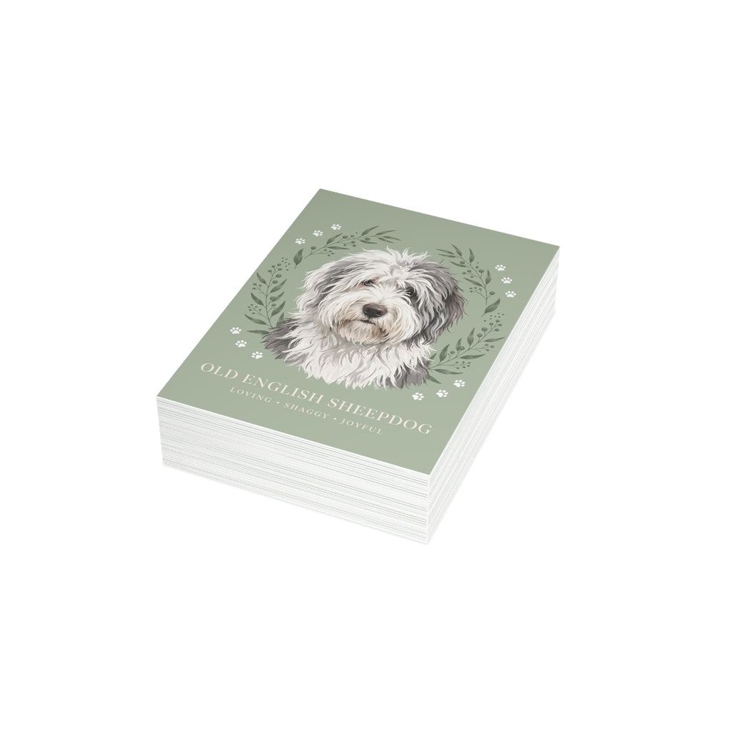 Old English Sheepdog Postcard Bundles | DeMichele Homewares