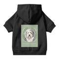 Old English Sheepdog Pet Hoodie with Collar Hole