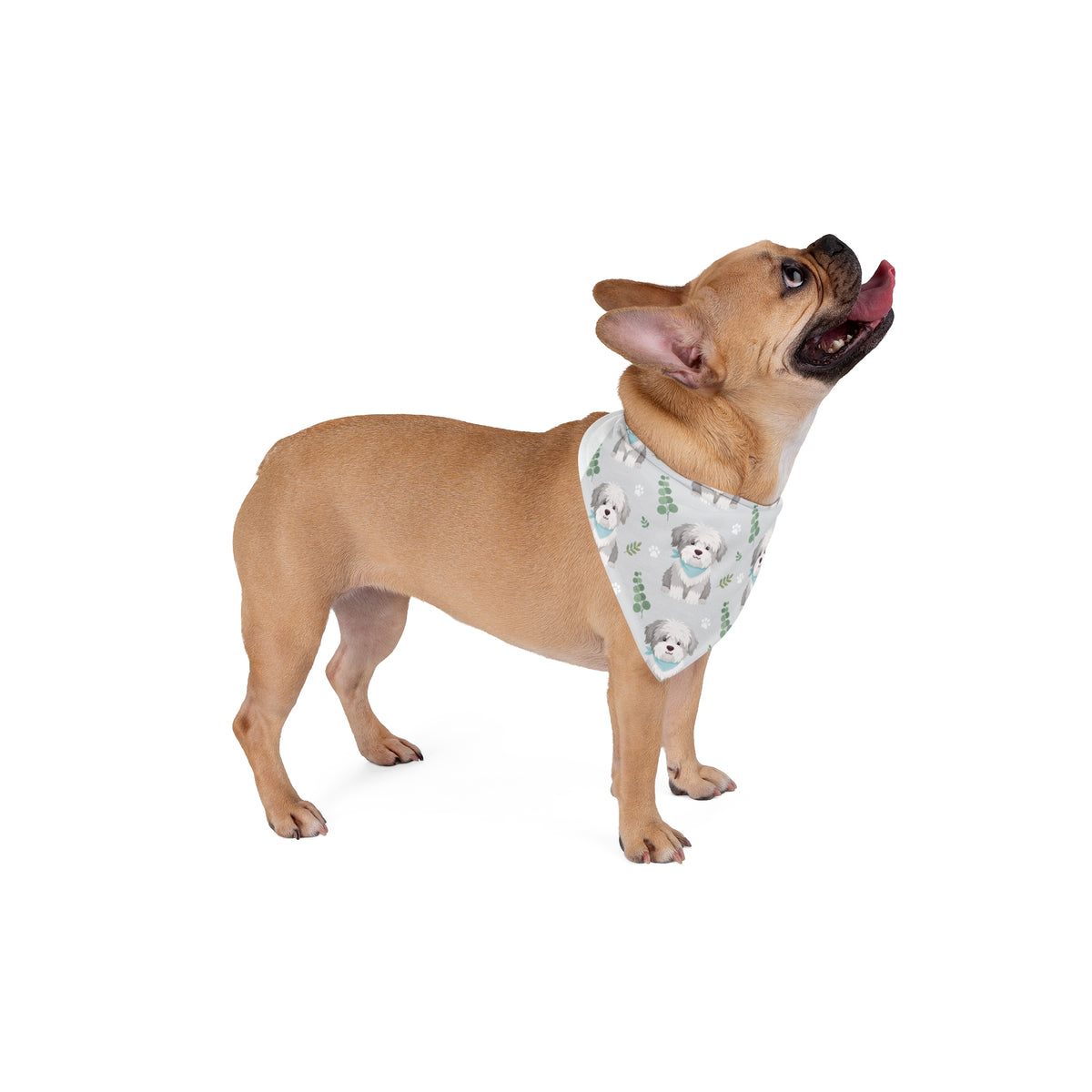 Jamie's Sheepdog Pet Bandana | DeMichele Homewares